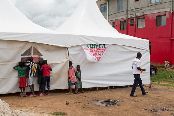 USPCA Free Community Clinic Day