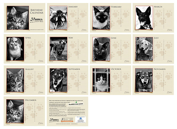 Birthday Calendar