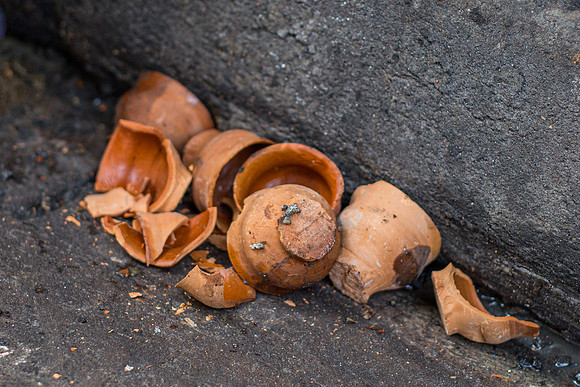 Discarded clay chai cups in gutter